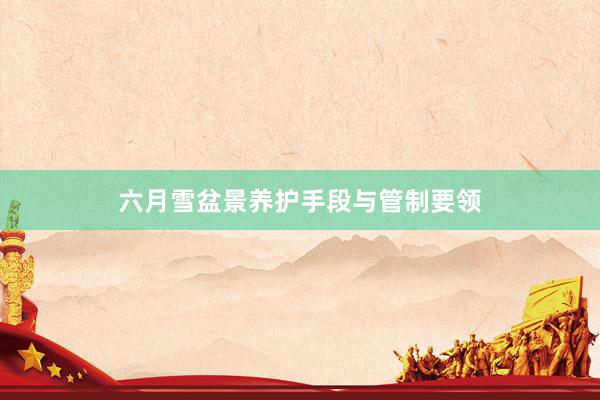 六月雪盆景养护手段与管制要领