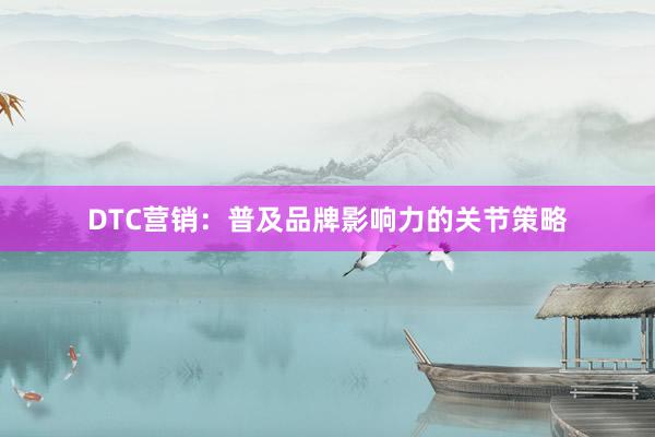 DTC营销：普及品牌影响力的关节策略